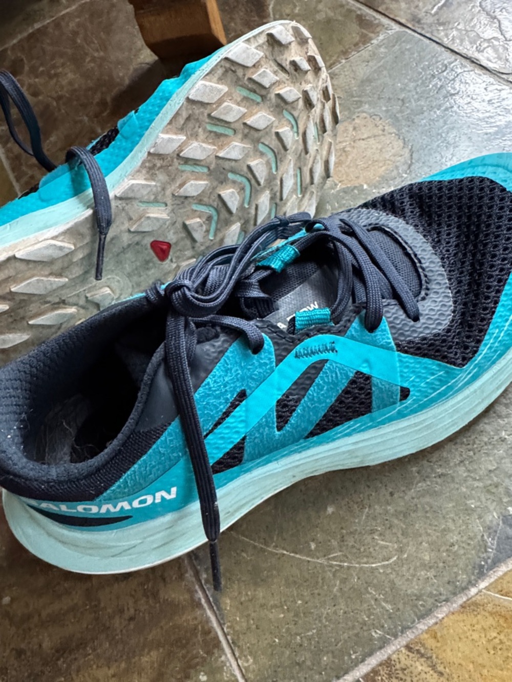 Salomon Women's Teal and Black Trail Sneakers